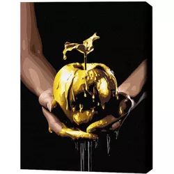 купить Картина по номерам BrushMe BSB0008FC 40x50сm (pânză neagră/fără cutie) Ispita de aur в Кишинёве 