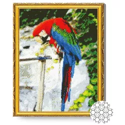 cumpără Tablou pe numere Art Gallery GA82798 Mozaic cu diamante Papagal minunat 40x50cm în Chișinău 