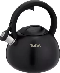купить Чайник Tefal N4180410 Duetto+ 2,5l в Кишинёве 