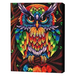 cumpără Tablou pe numere BrushMe BS52241FC (fără cutie) Bufniță înțeleaptă în culori de curcubeu în Chișinău 