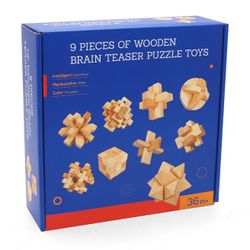 Набор деревянных головоломок (9 шт.) 141643 (7093)