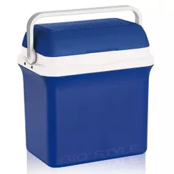 купить Сумка холодильник GioStyle 34725 Bravo-32 din masa plastica h15 32,5l в Кишинёве 