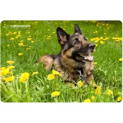cumpără Covoraș pentru mouse Esperanza EA133 în Chișinău 