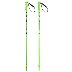 купить Лыжные палки Elan Rock Rod JR green 090 (CD834023 090) в Кишинёве 