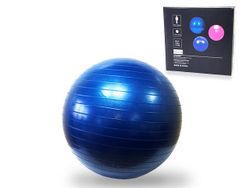 Minge fitness Profit 55cm + pompa