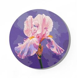 cumpără Tablou pe numere BrushMe RC00078M rotunda d30, Iris roz în Chișinău 