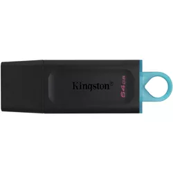 купить Флеш память USB Kingston DTX/64GB в Кишинёве 