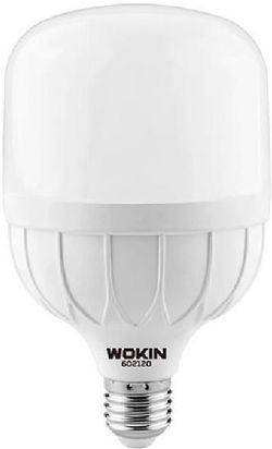 купить Лампочка Wokin LED T E27. 40W. 6500K (602140) в Кишинёве 