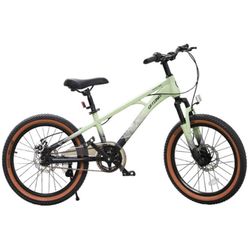 купить Велосипед miscellaneous 61297 20" TN23A04, verde в Кишинёве 