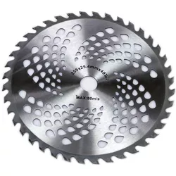 cumpără Fir pentru trimmere MAR-POL M08983 Disc motocoasa 255x40T în Chișinău 