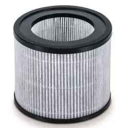 cumpără Filtru pentru purificator de aer Beurer Filtru pentru LR400/401/405 în Chișinău 