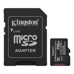 купить Флеш карта памяти SD Kingston SDCS3/256GB + SD adpter в Кишинёве 