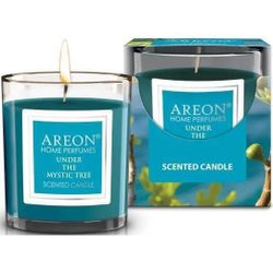 cumpără Aparat de aromatizare Areon Ароматиз. свечи 120g (Under the Mystic Tree) în Chișinău 