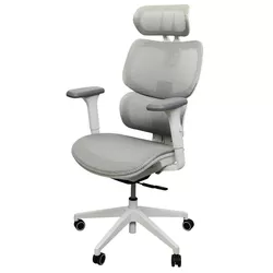 купить Офисное кресло Deco Gomez Light Grey (LFST891-7T) + White в Кишинёве 