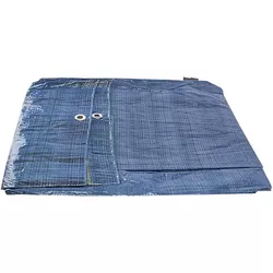 купить Брезент Profmet 175308 Брезент 5x8 м, 50 г/м², синий в Кишинёве 