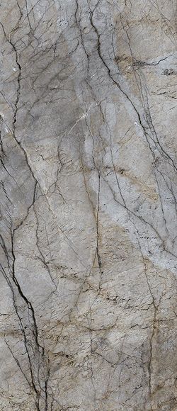 Cosmopolitan / Mystic Grey CP 06 PRL - 120 x 278 cm