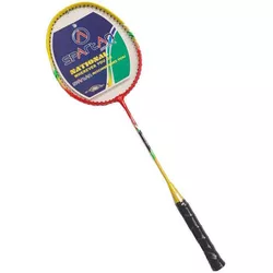 cumpără Echipament pentru badminton Spartan 13601 Paleta badminton Spartan Swing 2086 în Chișinău 
