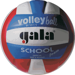 Мяч волейбольный 5511 Gala School Foam (1136)
