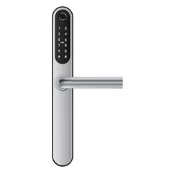 купить Умный дверной замок TTLock S2 Sliver в Кишинёве