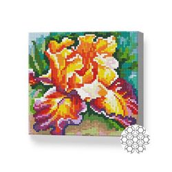 купить Картина по номерам Art Gallery BJ976 Mozaic cu diamante 20x20cm Iris luxuriant в Кишинёве 