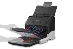 Flatbed Scanner Conversion Kit Epson for DS-530 + Perfection V19