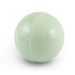 cumpără Minge inSPORTline 8918 Minge yoga Mini Medicine Sendelar 11cm, 1kg, IN31440 în Chișinău 
