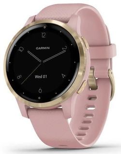 купить Смарт часы Garmin vivoactive 4S Dust Rose/Light Gold, S.EU в Кишинёве