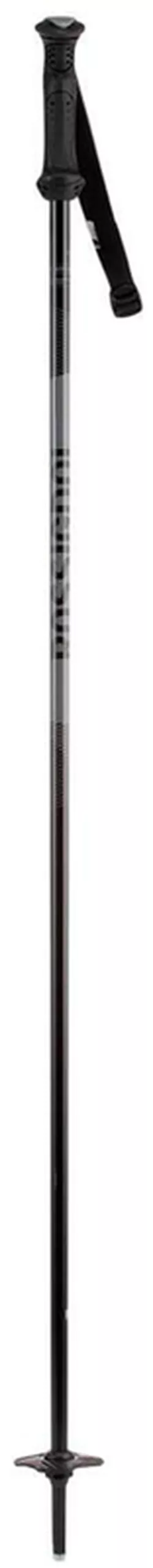 купить Лыжные палки Rossignol Tactic Jr Grey 095 (RDI6030) в Кишинёве 