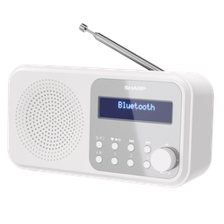 Sharp  DR-P420WHV01, Portable Digital Radio