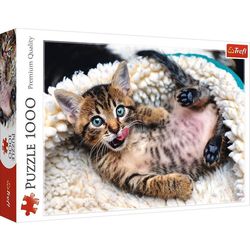 купить Головоломка Trefl 10448 Puzzle 1000 Cheerful kitten в Кишинёве 