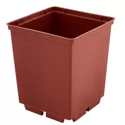 cumpără Ghiveci pentru flori Aleana 119021 6,0x 5,5cm în Chișinău 