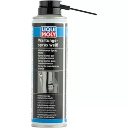 cumpără Produse chimice auto Liqui Moly WARTUNGS-SPRAY 3075 în Chișinău 