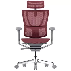 купить Офисное кресло ART Mirus IOO Elite 2 Scarlet T-168-B3 IOOE2-AG-HAM-5D-L в Кишинёве 