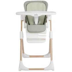 купить Стульчик для кормления Joie H1013EDSMT000 Mimzy Recline Strata Mist Wood в Кишинёве 