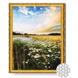 купить Картина по номерам Art Gallery GA79745 Mozaic cu diamante 40x50cm Campul de flori в Кишинёве 
