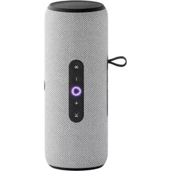 cumpără Boxă portativă Bluetooth Yandex YNDX-00030GRY Alisa Station Street Grey în Chișinău 