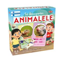 купить Настольная игра Tactic 59250 Joc Let's Learn to Read (RO) в Кишинёве 