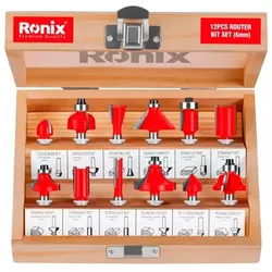 купить Набор головок, бит, насадок Ronix RH-5341 набор 12 фрез по дереву Ø6мм в Кишинёве 