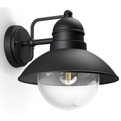 купить Светильник уличный Philips HOVERFLY 60 Вт в Кишинёве 