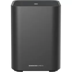 купить Сабвуфер Sennheiser Ambeo SW02 Black в Кишинёве 