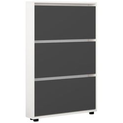 купить Полка для обуви Mobildor-Lux Leo Slim 80x16x125H cm White/Anthracite в Кишинёве 