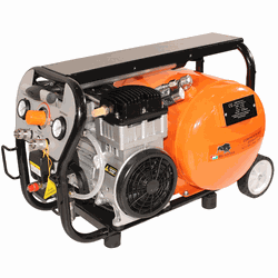 COMPRESOR FARA ULEI BISONTE SC020-015