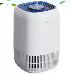 купить Очиститель воздуха EvoAir Filtru 3 in 1 True HEPA, Carbon Activ в Кишинёве 