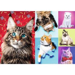 купить Головоломка Trefl 10591 Puzzles - 1000 - Happy cats в Кишинёве 