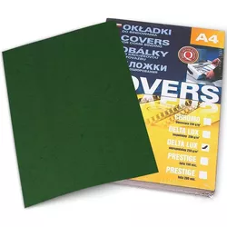 купить Бумага офисная Argo AR407051 Coperta carton Delta A4, 250g/m2, 100 foi, verde в Кишинёве 