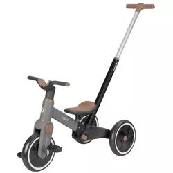 купить Велосипед-коляска Kikka Boo 31006020164 Tricicleta 5in1 Flash Grey в Кишинёве 