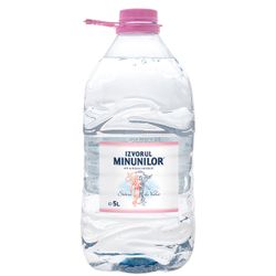 Izvorul Minunilor 5L  негазированная