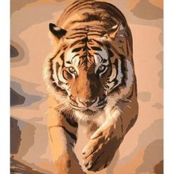 купить Картина по номерам Strateg 57259 Puterea si gratia tigrului 40x50cm в Кишинёве 