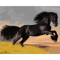 cumpără Tablou pe numere Richi (02638) Calul negru 40x50 în Chișinău 