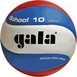 Мяч волейбольный N5 Gala School 10 5711 (1133)
